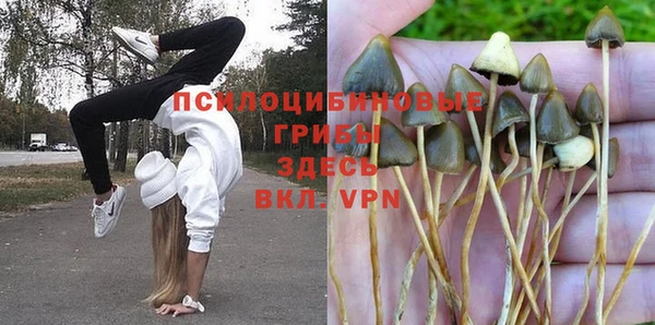 прущие крисы Каменка