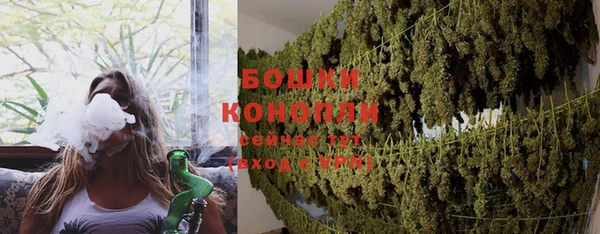 прущие крисы Каменка