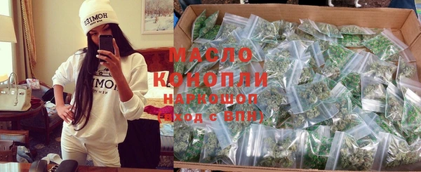 прущие крисы Каменка