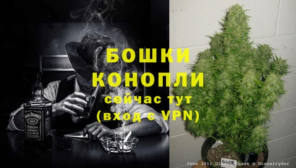 не бодяженный Каменногорск