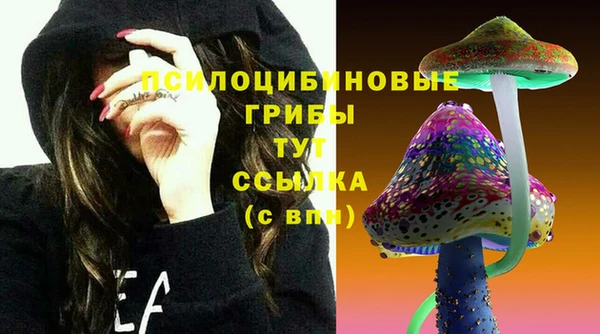 прущие крисы Каменка
