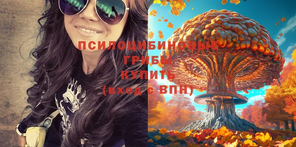 прущие крисы Каменка