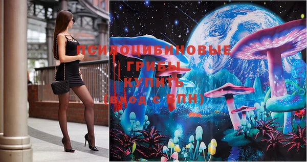 не бодяженный Каменногорск