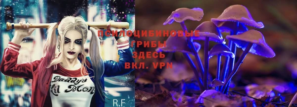 прущие крисы Каменка